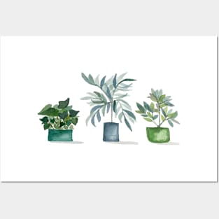 Houseplants Posters and Art